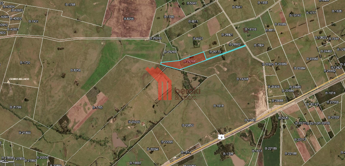 Campo Ref.155 - venta campo de 10hs Maldonado, Rincon de Los Ignacios