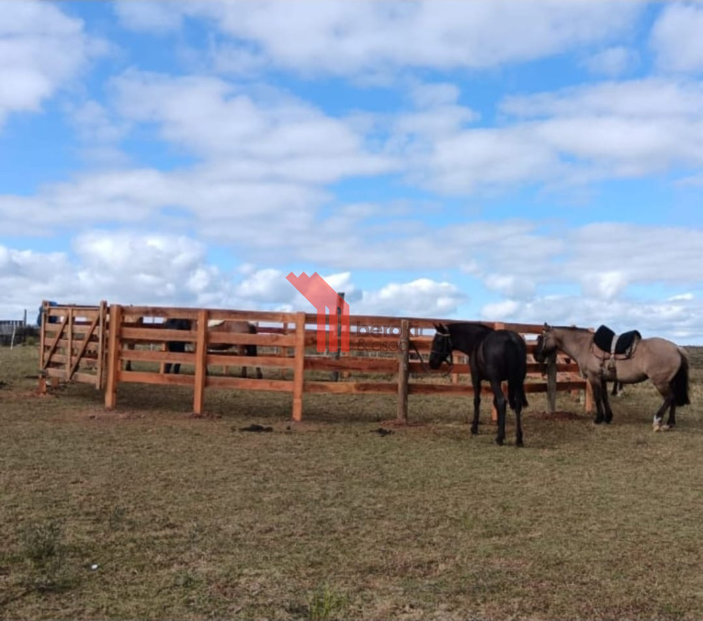 Campo Ref.155 - venta campo de 10hs Maldonado, Rincon de Los Ignacios