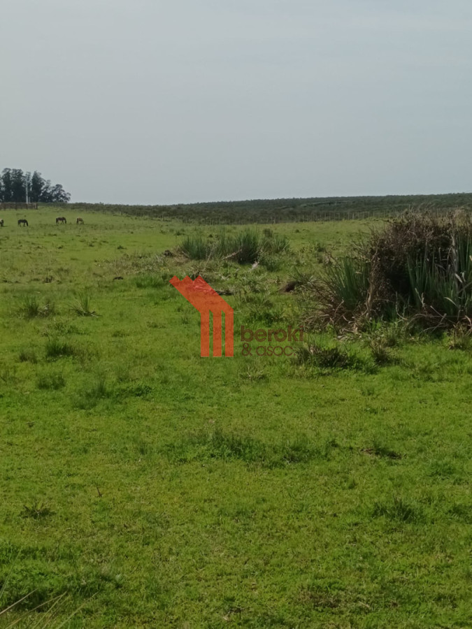 Campo Ref.155 - venta campo de 10hs Maldonado, Rincon de Los Ignacios