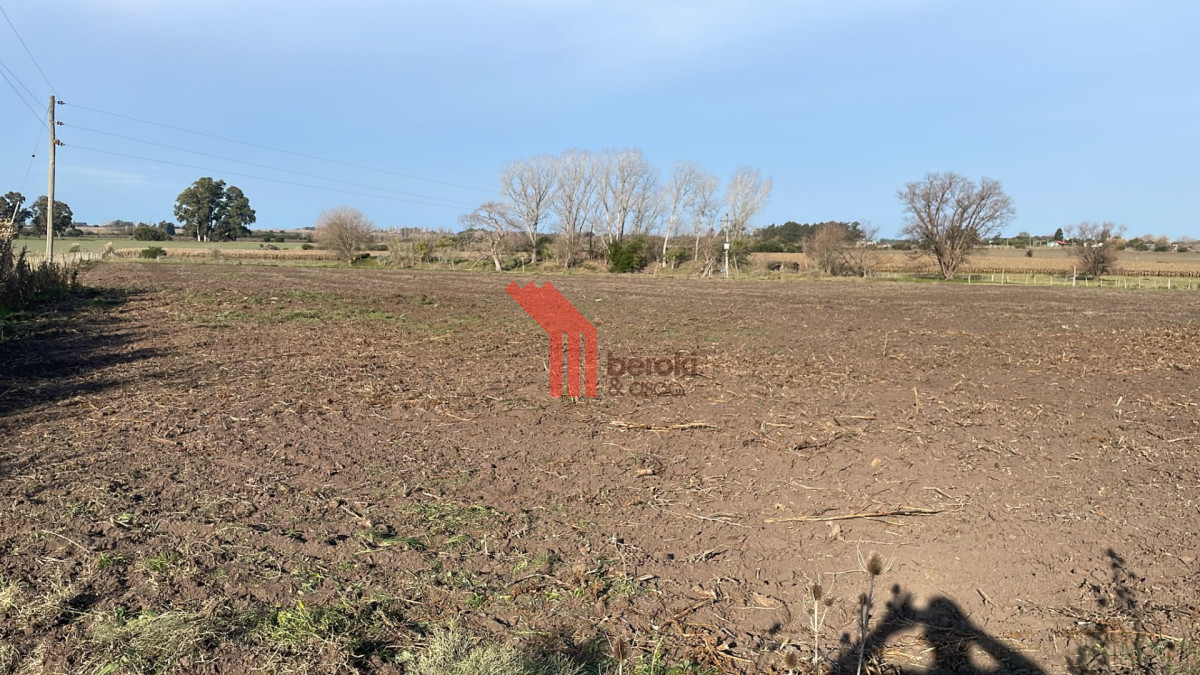 Campo Ref.263 - Venta campo 8 hectareas, Cerrillos