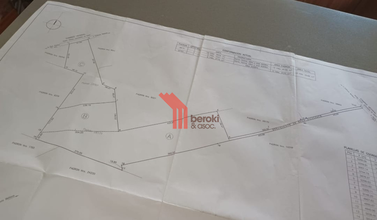 Campo Ref.155 - venta campo de 10hs Maldonado, Rincon de Los Ignacios