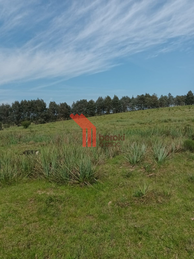 Campo Ref.155 - venta campo de 10hs Maldonado, Rincon de Los Ignacios