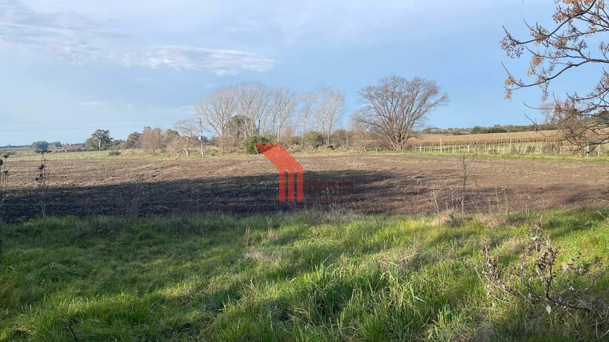 Campo Ref.263 - Venta campo 8 hectareas, Cerrillos