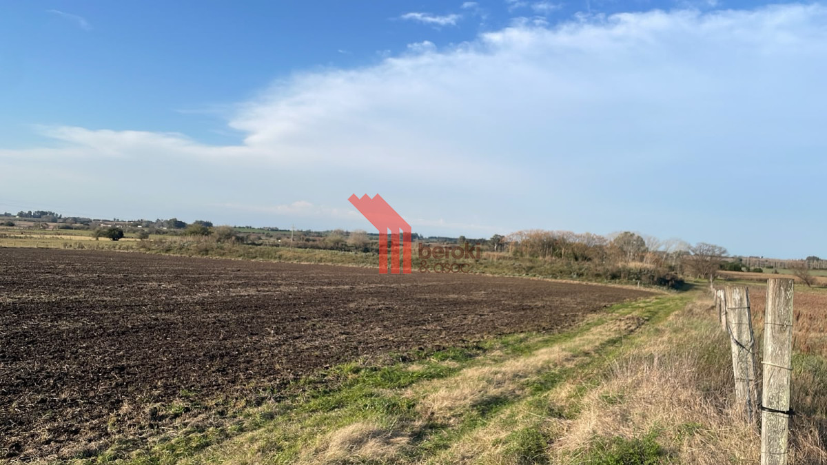 Campo Ref.263 - Venta campo 8 hectareas, Cerrillos
