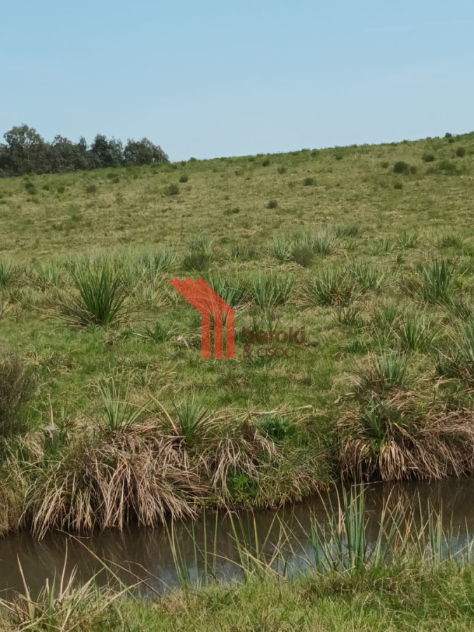 Campo Ref.155 - venta campo de 10hs Maldonado, Rincon de Los Ignacios