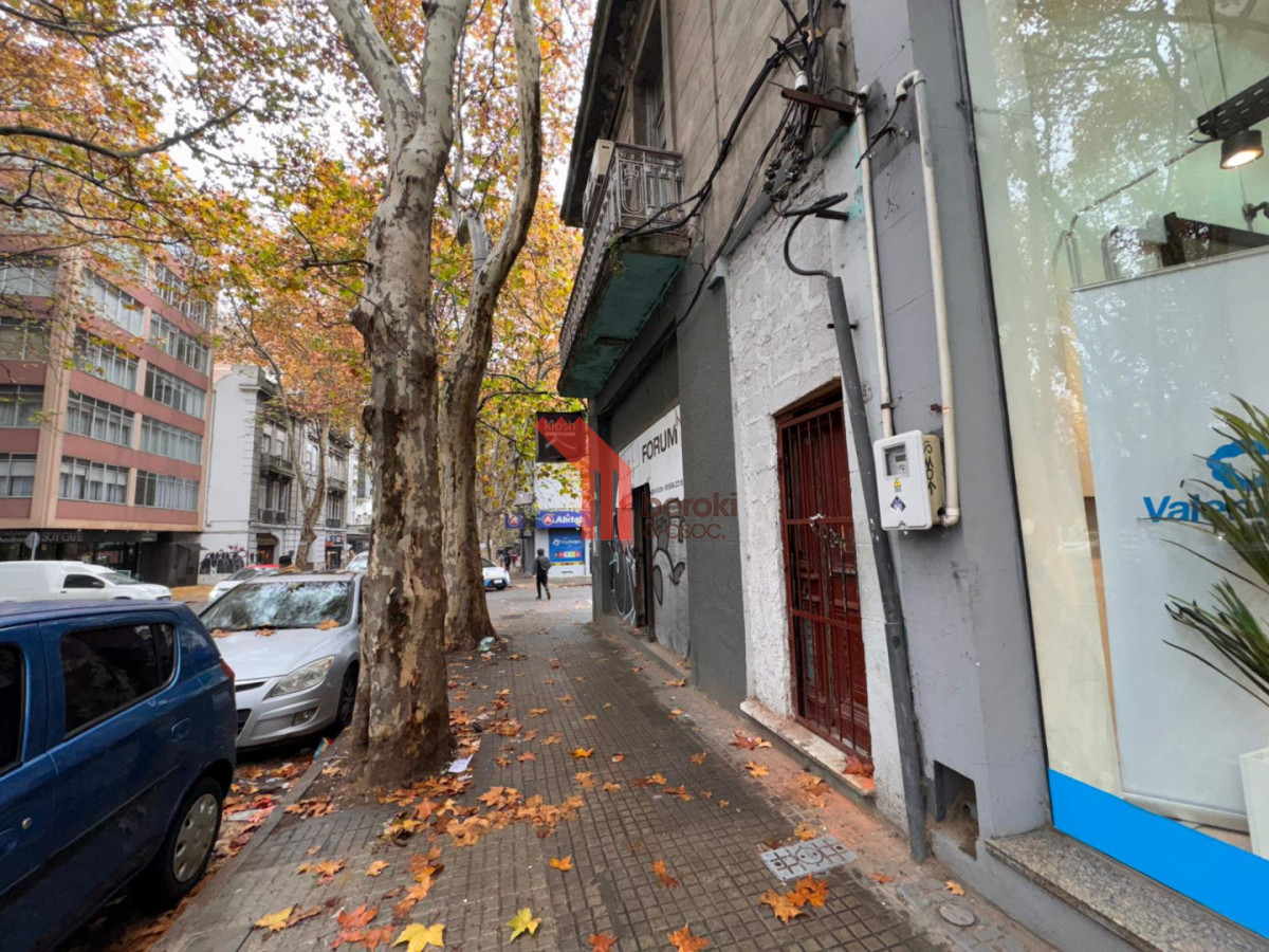 Local Comercial ID.228 - Venta Local con sótano y casa de altos, Cordón Sur
