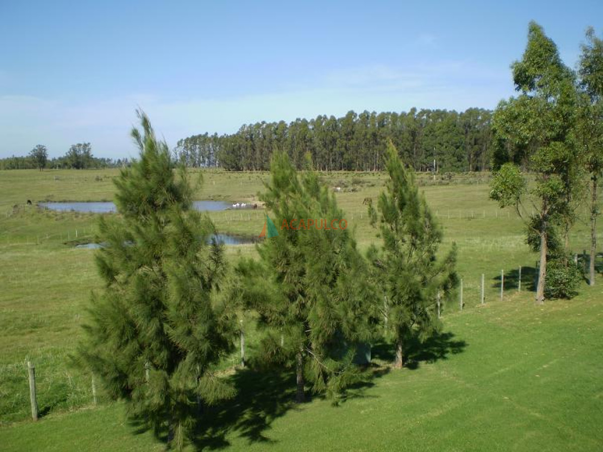 Chacra Ref.3754 - Zona rural muy cercana a Playas de José Ignacio 