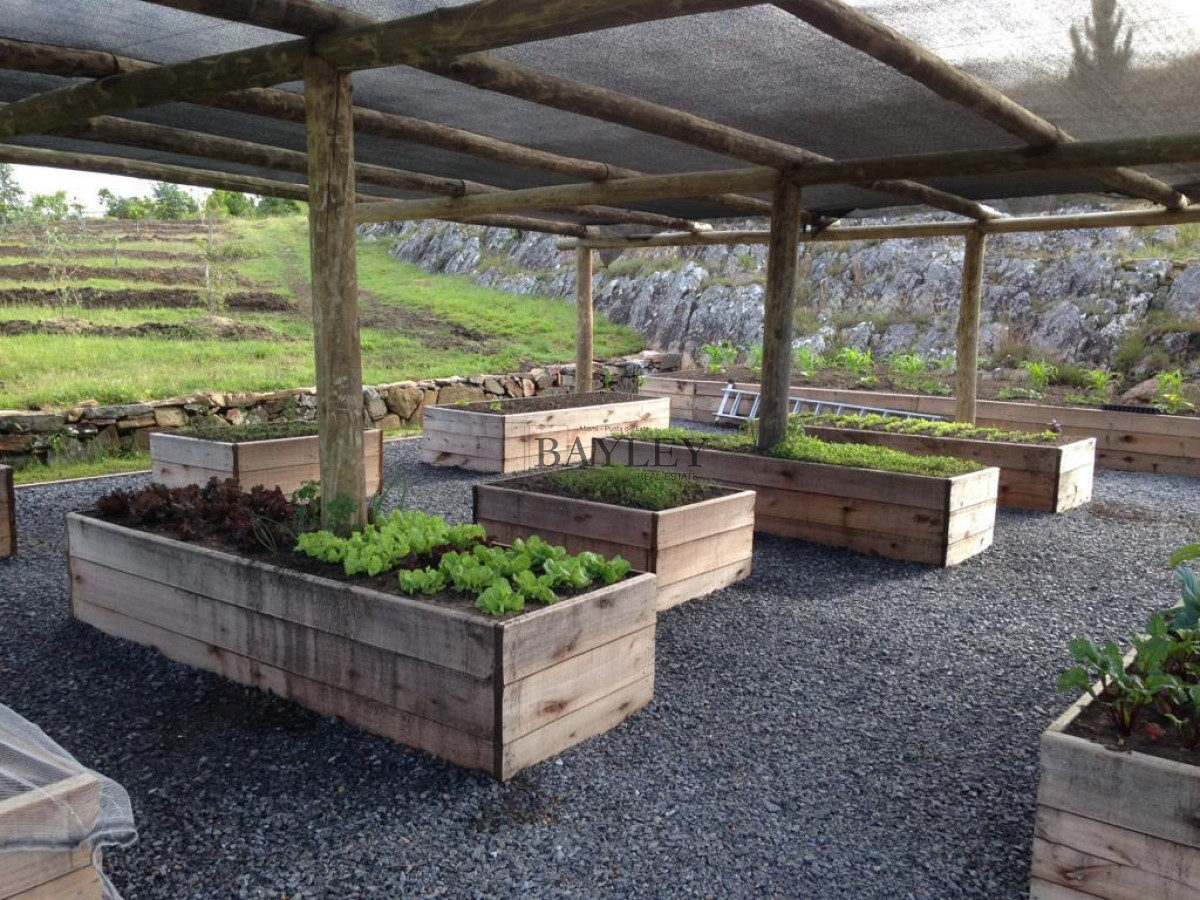 Chacra ID.8 - Chacra ubicada en Punta Ballena, Ruta 12, con excelente vista a la Laguna del Sauce