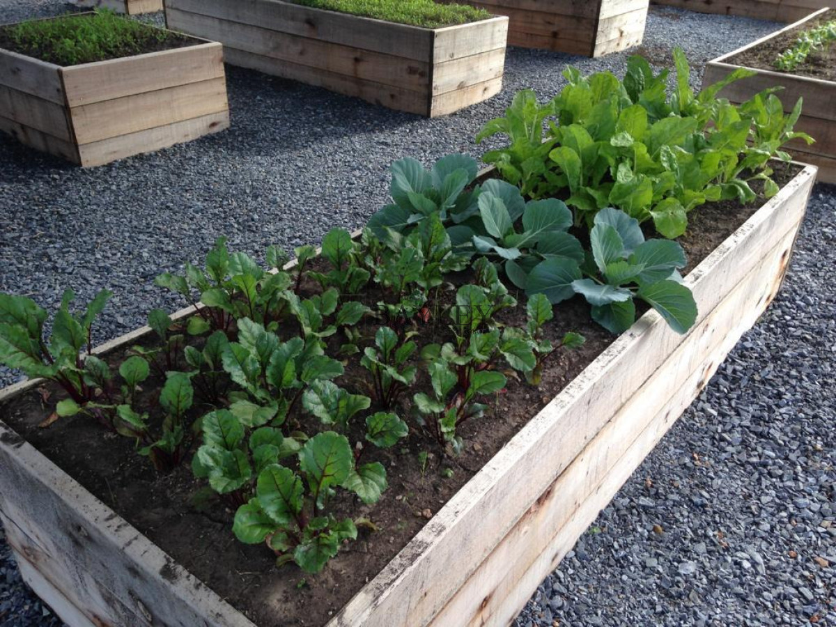 Chacra ID.8 - Chacra ubicada en Punta Ballena, Ruta 12, con excelente vista a la Laguna del Sauce