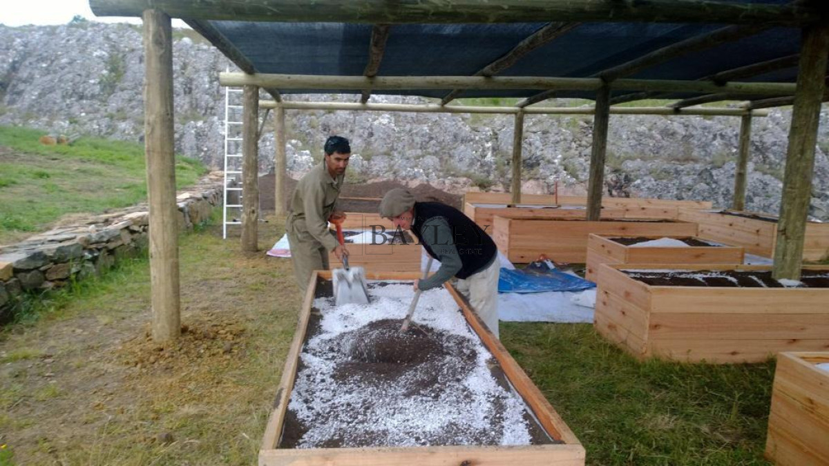 Chacra ID.8 - Chacra ubicada en Punta Ballena, Ruta 12, con excelente vista a la Laguna del Sauce