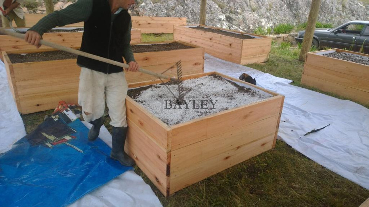 Chacra ID.8 - Chacra ubicada en Punta Ballena, Ruta 12, con excelente vista a la Laguna del Sauce