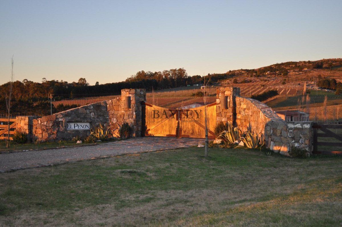 Chacra ID.8 - Chacra ubicada en Punta Ballena, Ruta 12, con excelente vista a la Laguna del Sauce