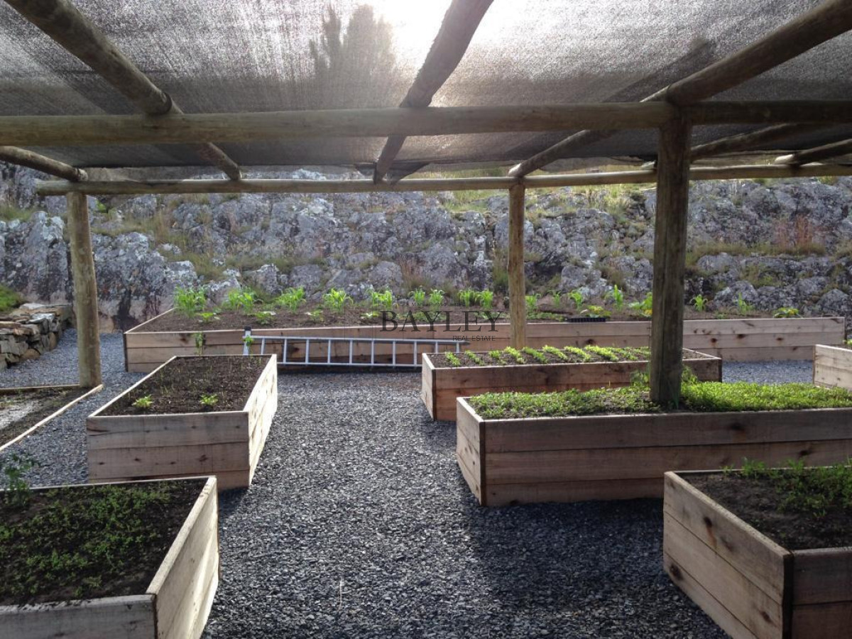 Chacra ID.8 - Chacra ubicada en Punta Ballena, Ruta 12, con excelente vista a la Laguna del Sauce