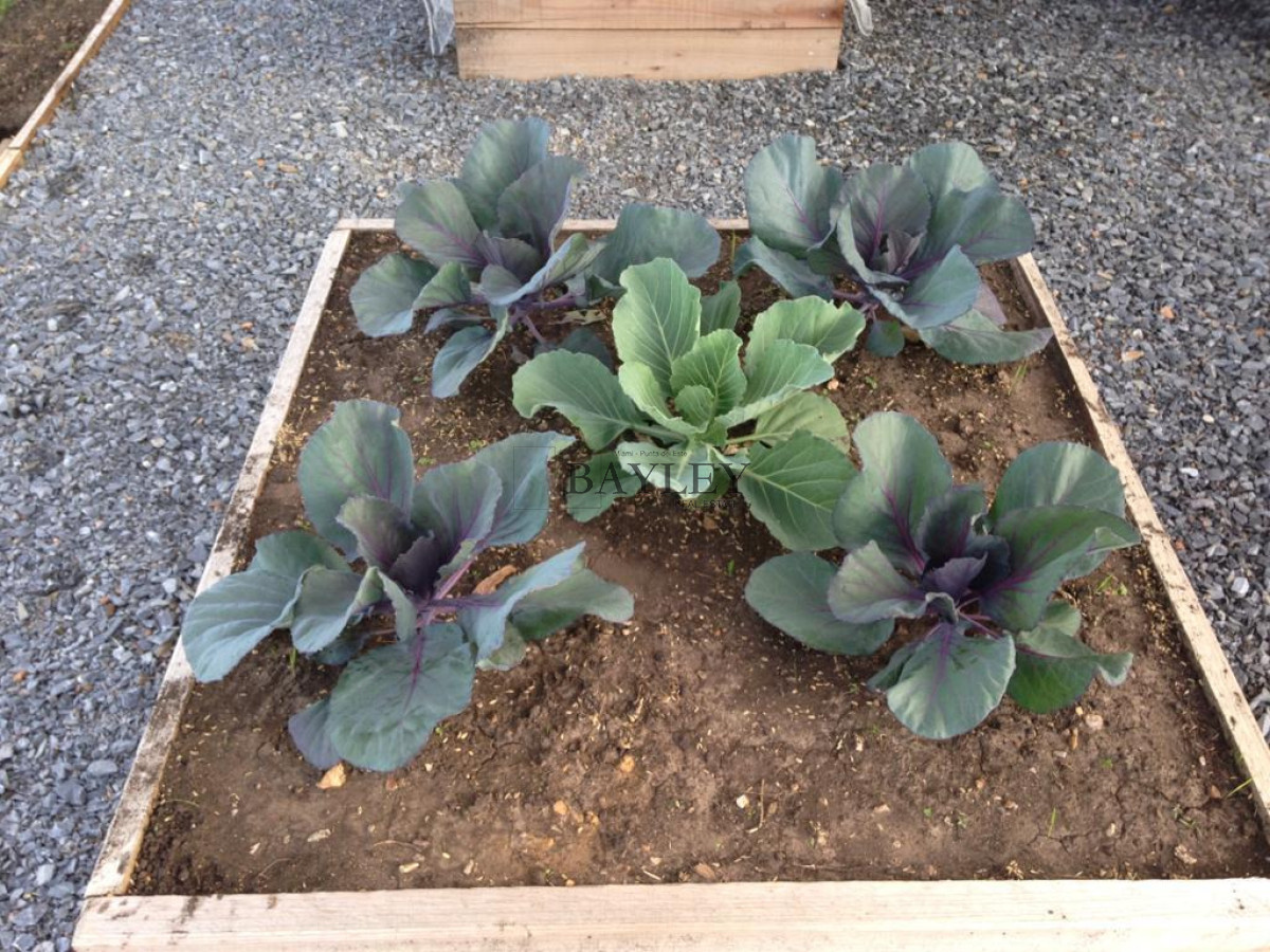 Chacra ID.8 - Chacra ubicada en Punta Ballena, Ruta 12, con excelente vista a la Laguna del Sauce