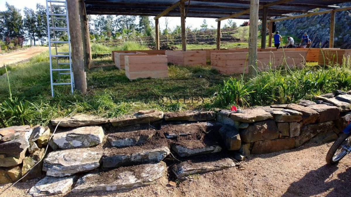 Chacra ID.8 - Chacra ubicada en Punta Ballena, Ruta 12, con excelente vista a la Laguna del Sauce