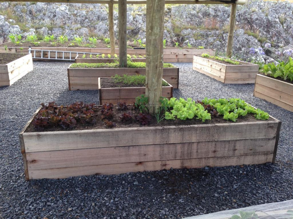 Chacra ID.8 - Chacra ubicada en Punta Ballena, Ruta 12, con excelente vista a la Laguna del Sauce