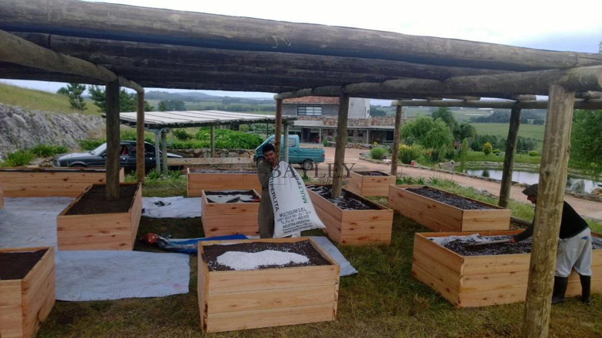 Chacra ID.8 - Chacra ubicada en Punta Ballena, Ruta 12, con excelente vista a la Laguna del Sauce