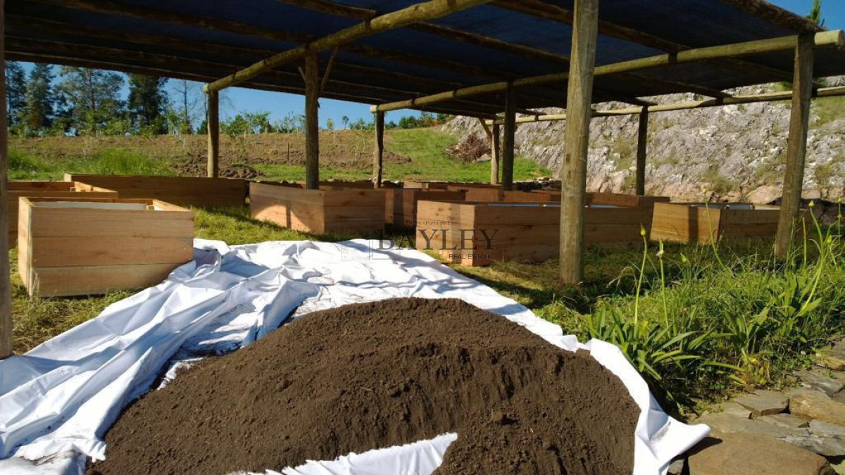 Chacra ID.8 - Chacra ubicada en Punta Ballena, Ruta 12, con excelente vista a la Laguna del Sauce