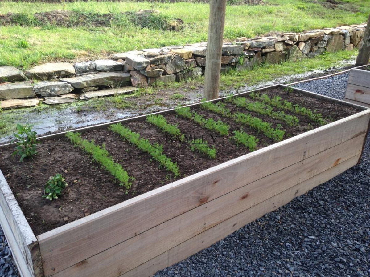 Chacra ID.8 - Chacra ubicada en Punta Ballena, Ruta 12, con excelente vista a la Laguna del Sauce