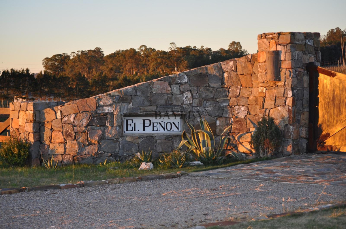 Chacra ID.8 - Chacra ubicada en Punta Ballena, Ruta 12, con excelente vista a la Laguna del Sauce
