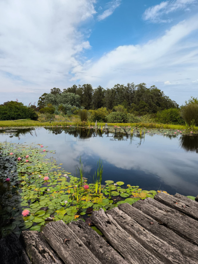 Chacra ID.5 - CHACRA ZONA MANANTIALES RUTA 104