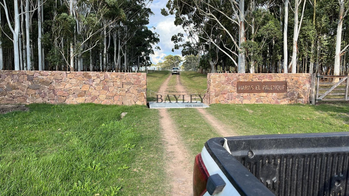 Campo Ref.7 - Campo Haras el Palenque