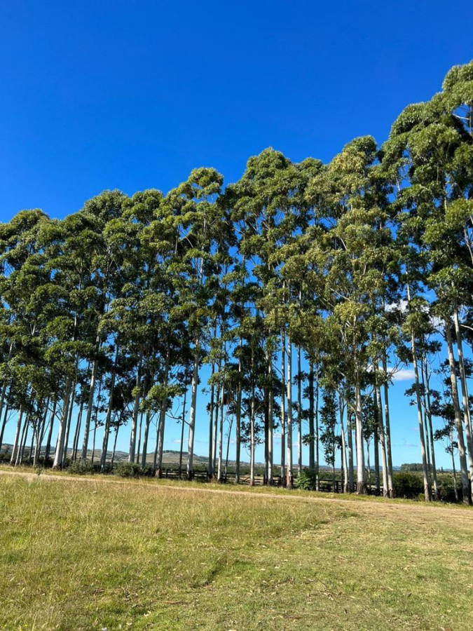 Campo Ref.21 - Hermoso campo ubicado en Zona Eden.