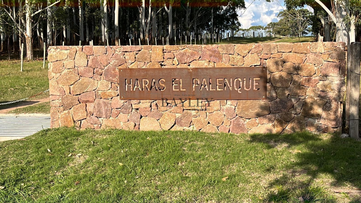 Campo Ref.7 - Campo Haras el Palenque