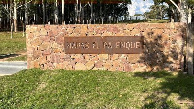 Campo Haras el Palenque