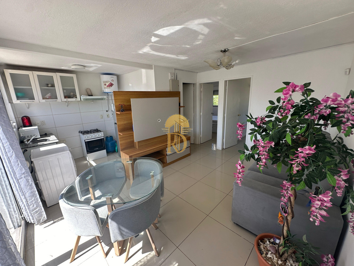 Venta y alquiler, departamento en Maldonado. -id-842-1