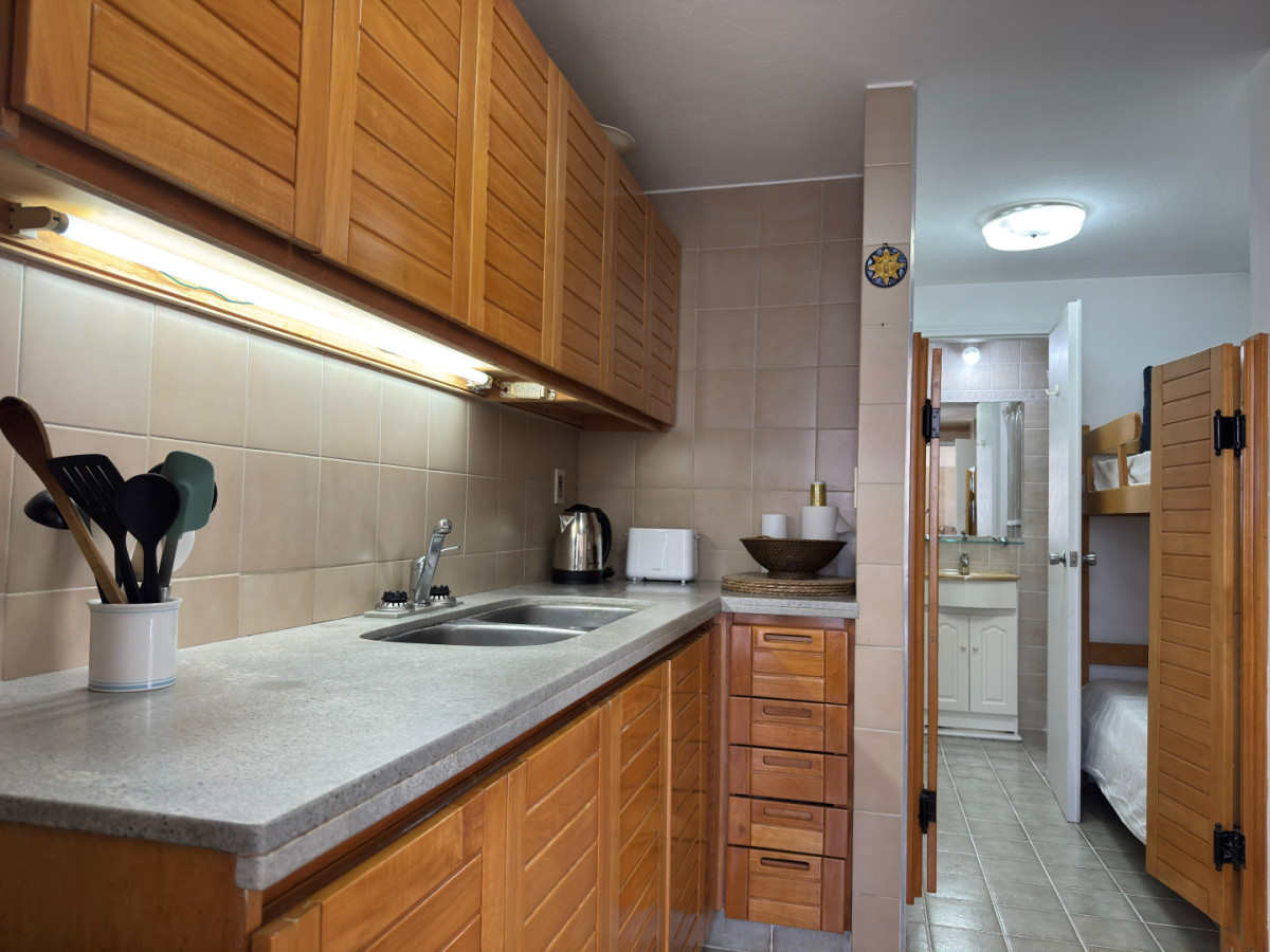 Apartamento ID.2258 - Hermoso departamento con vista a la playa brava.