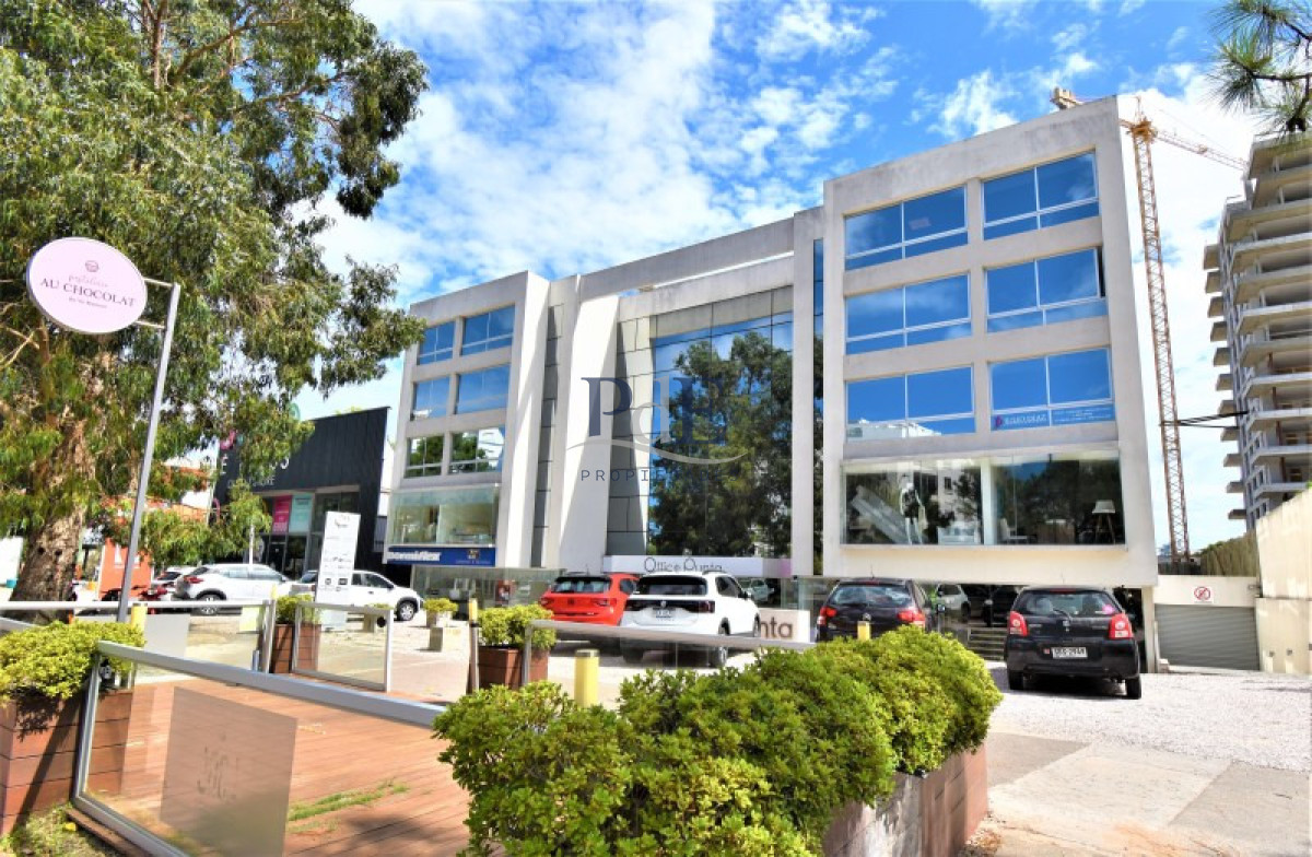 Oficinas en venta - OFFICE PUNTA |  - Imagen 1