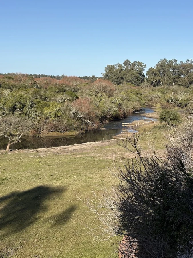 Chacra ID.311 - Chacras del Arroyo - Viví la esencia de José Ignacio