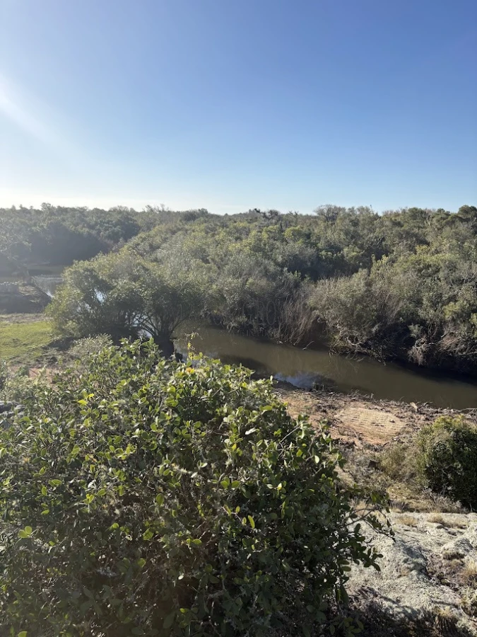 Chacra ID.311 - Chacras del Arroyo - Viví la esencia de José Ignacio