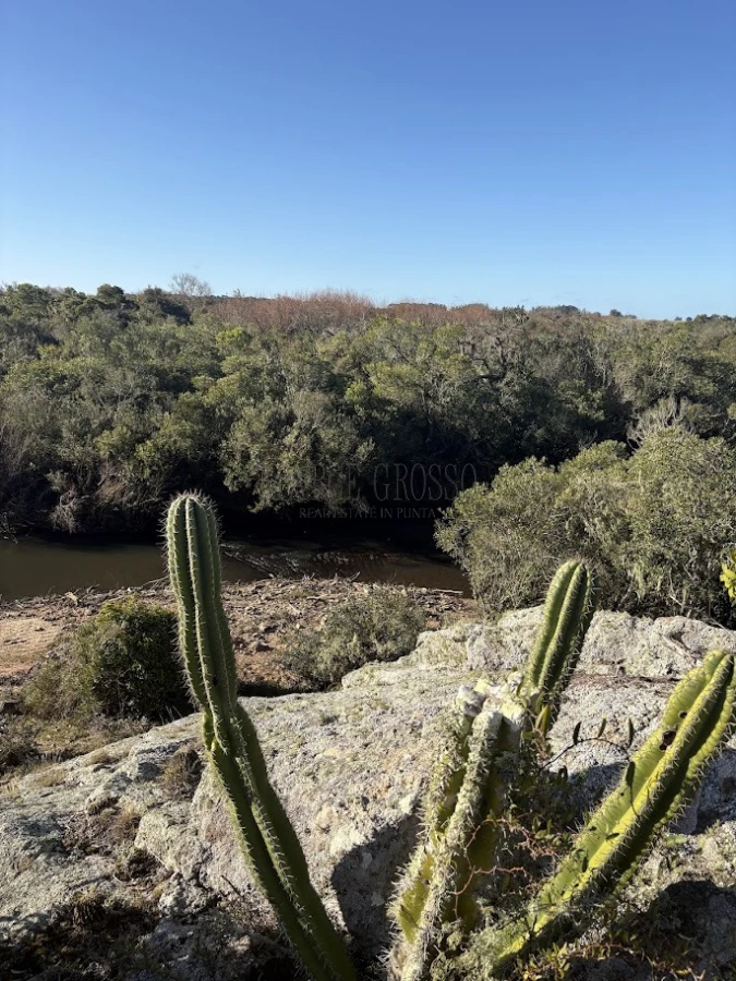 Chacra ID.311 - Chacras del Arroyo - Viví la esencia de José Ignacio