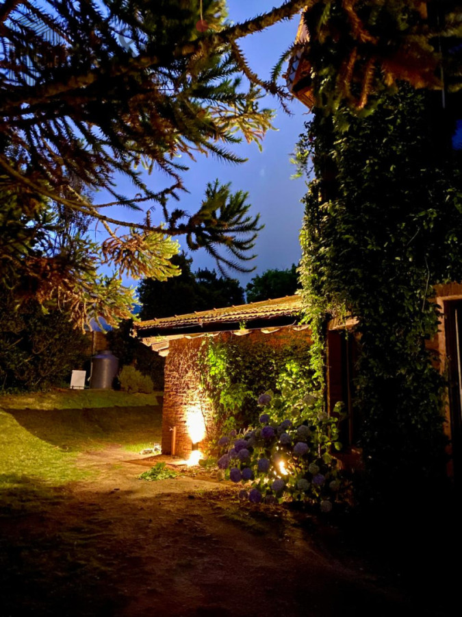 Casa ID.7335 - Casa en alquiler en Montoya - La Barra. 4 dormitorios y 4 baños 