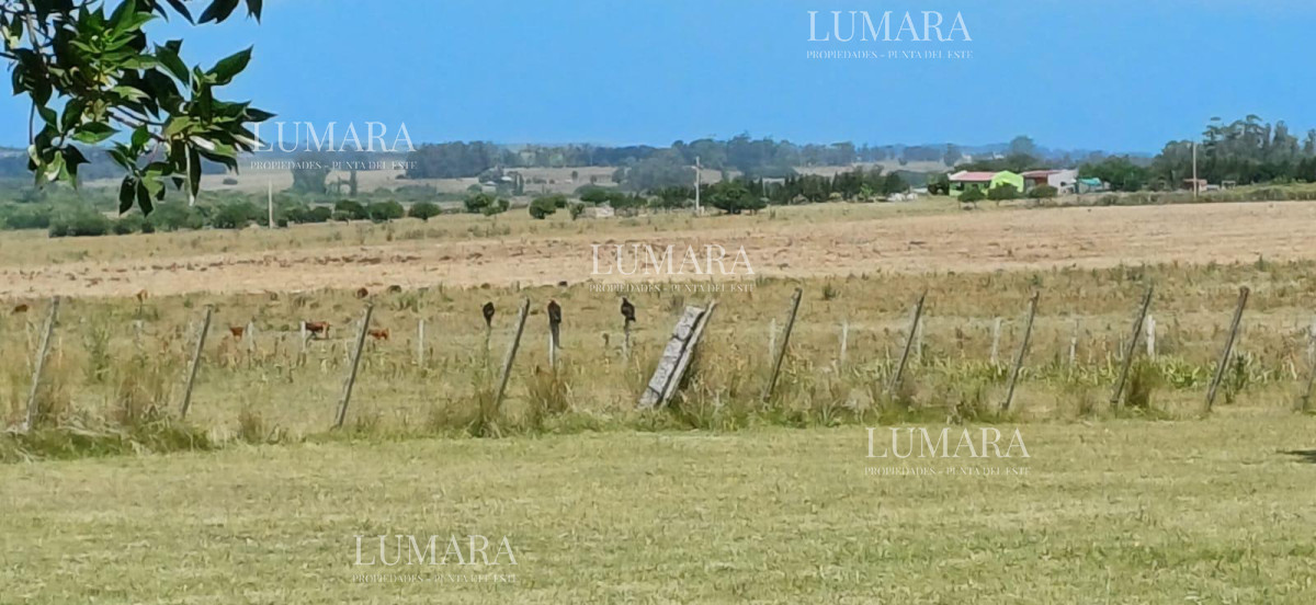 Chacra ID.3373 - Chacra sobre ruta 39 a 5km de San Carlos