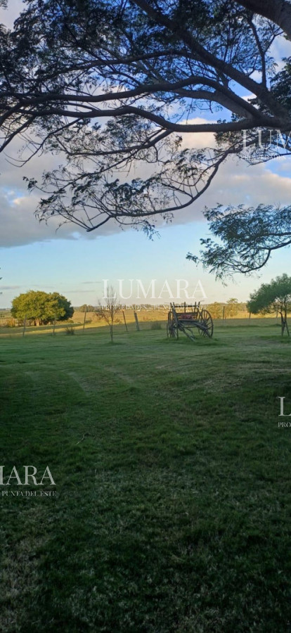 Chacra ID.3373 - Chacra sobre ruta 39 a 5km de San Carlos