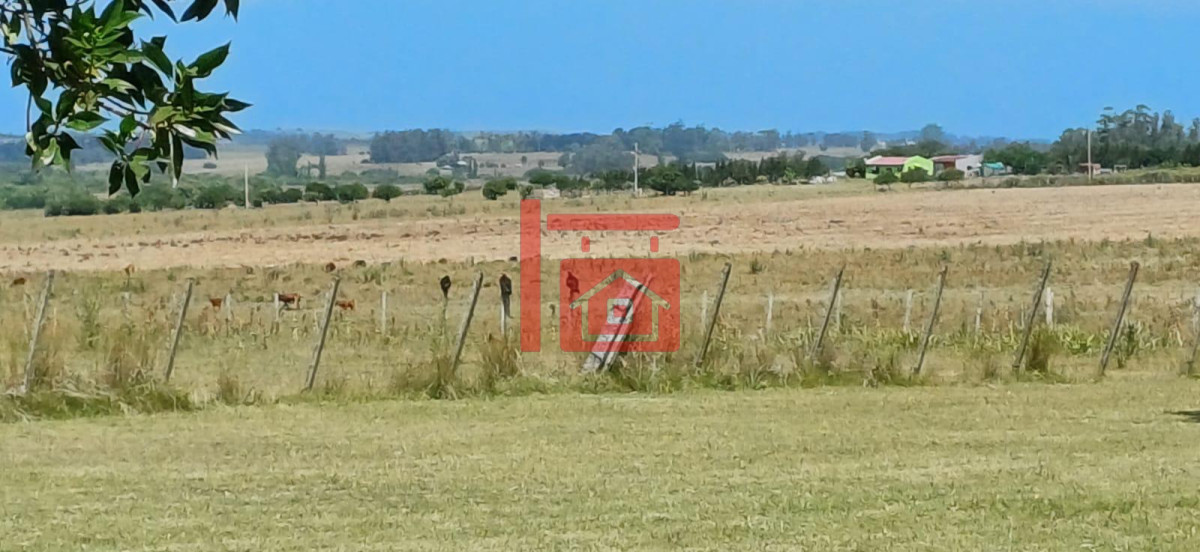 Chacra ID.689 - Impersionante !! Chacra sobre ruta 39 a 5km de San Carlos