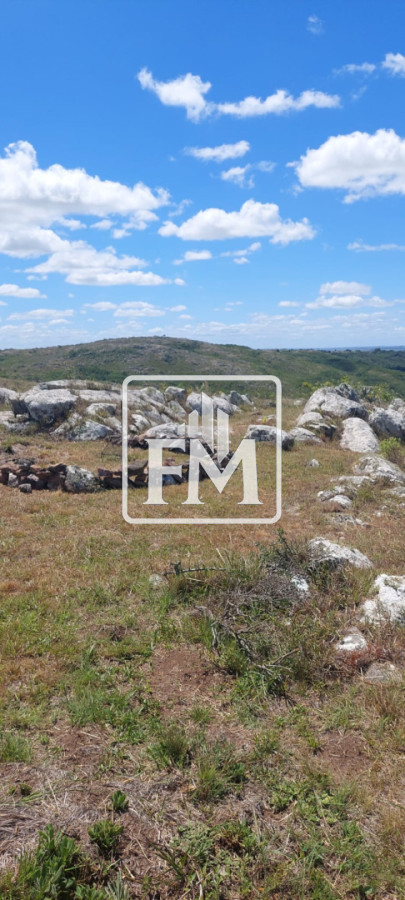 Chacra ID.69 - Venta de Chacra de 5 Hectareas  en Secretos de Los Talas  