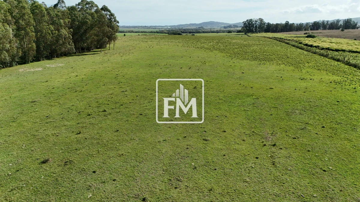 Chacra ID.70 - Chacra en Venta de 5 hectareas en Paraje Los Ceibos