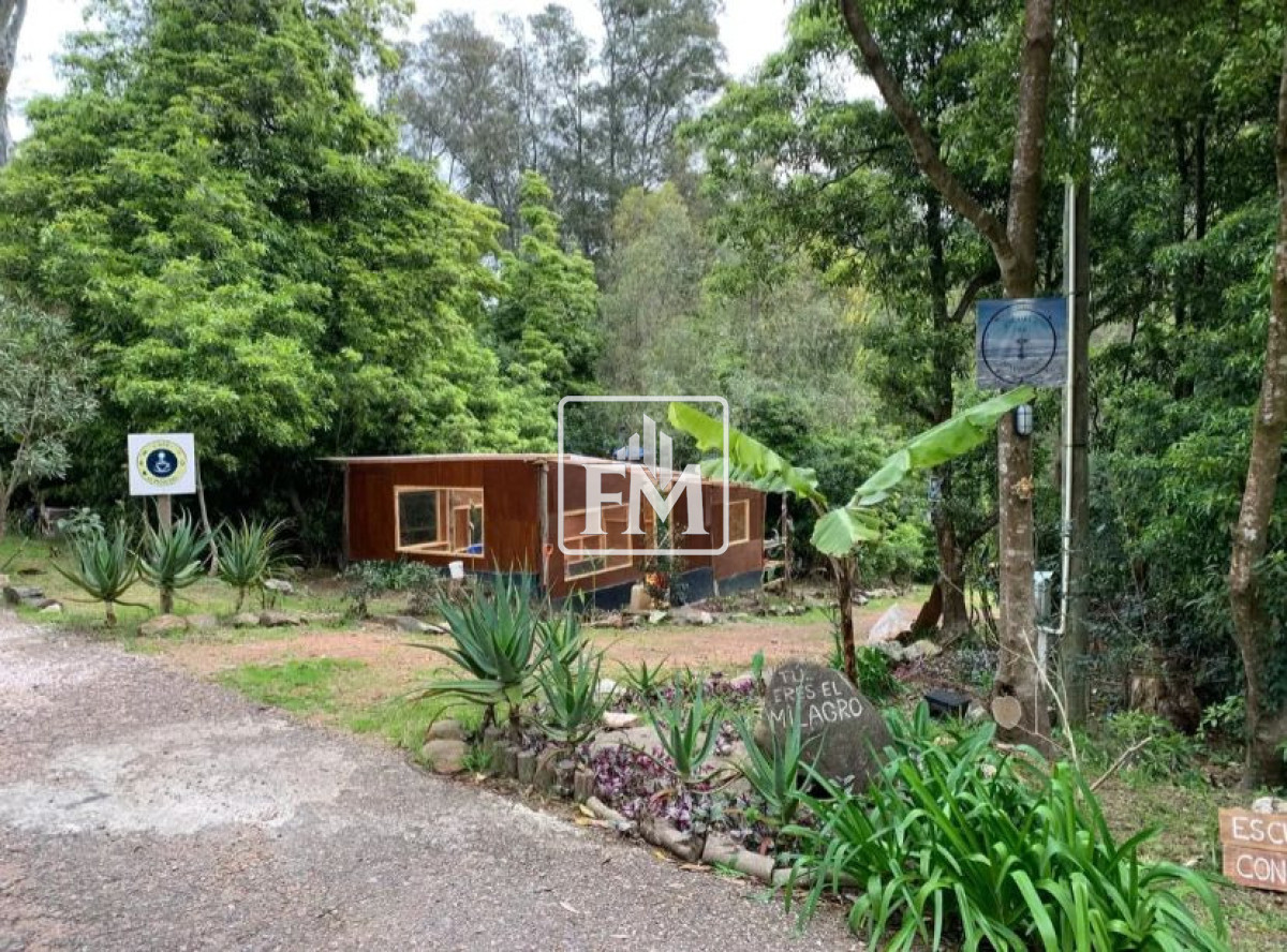 Terreno ID.115 -  Amplio Terreno en Maldonado