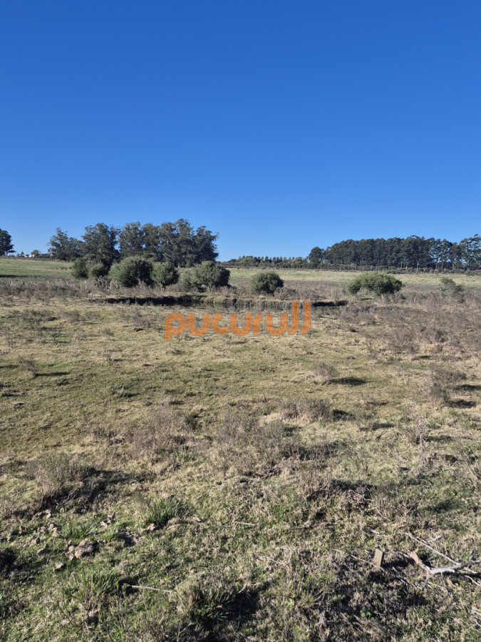 Campo Ref.3103 - Campo en San Carlos, 