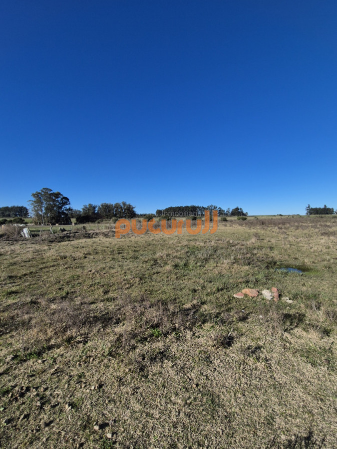 Campo Ref.3103 - Campo en San Carlos, 