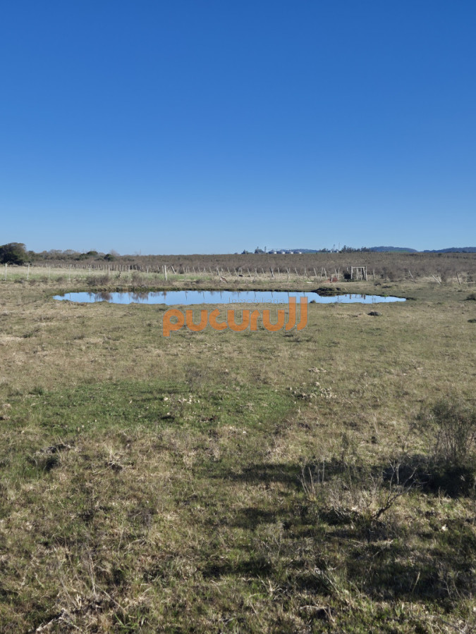 Campo Ref.3103 - Campo en San Carlos, 