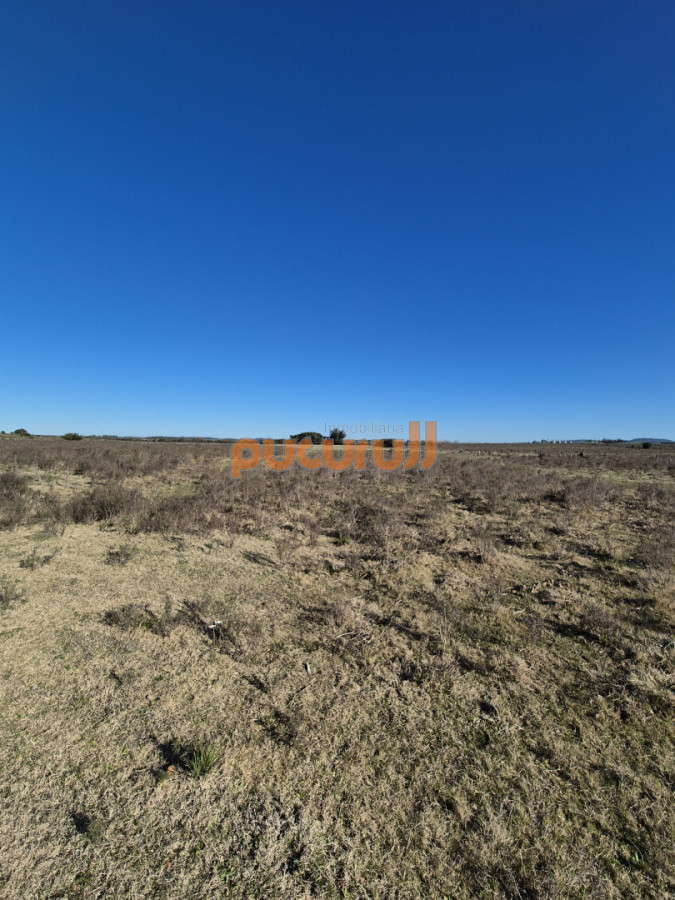 Campo Ref.3103 - Campo en San Carlos, 