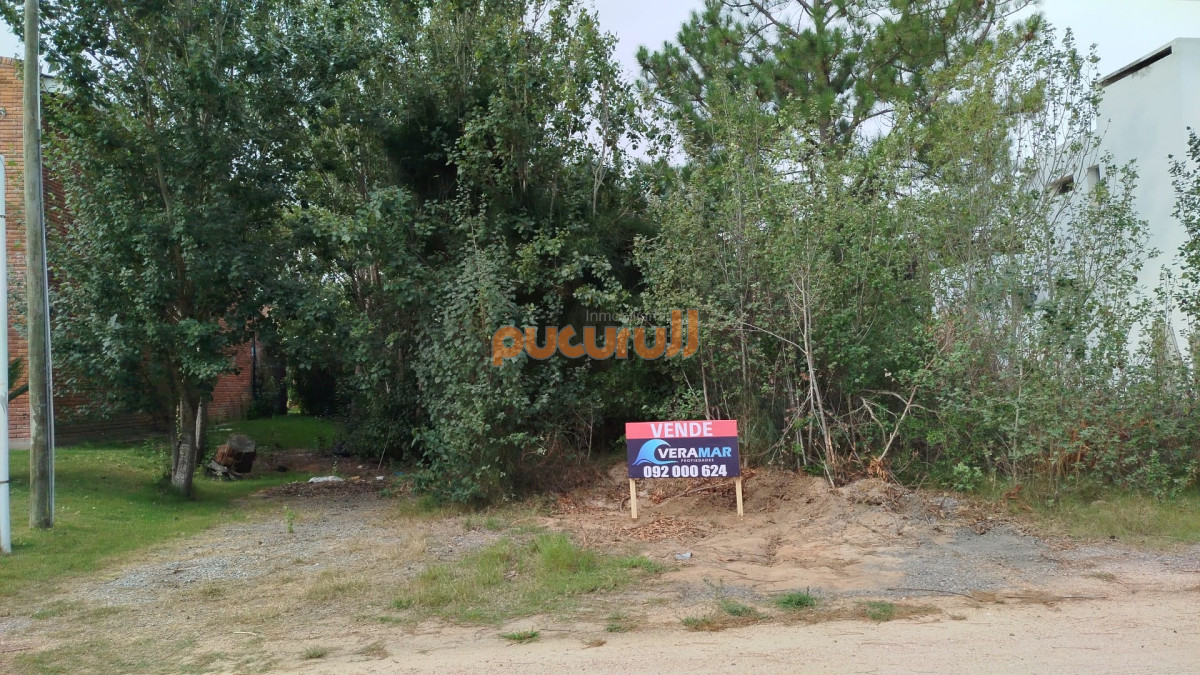 Terreno ID.2613 - Terreno en Punta Ballena, Tio Tom