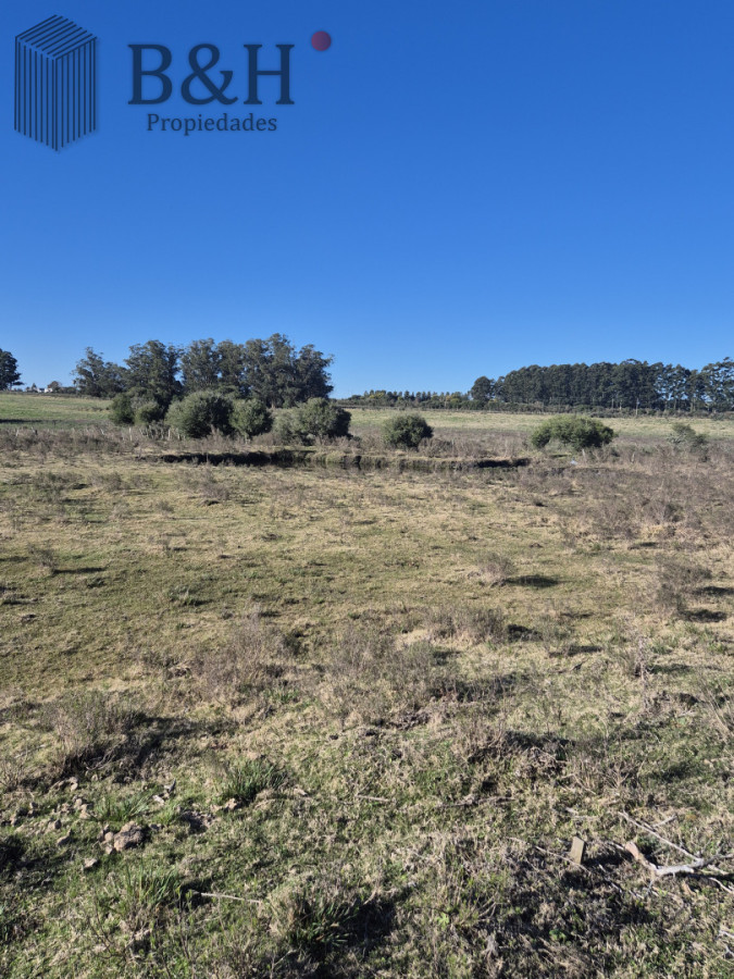 Campo Ref.6494 - Campo en San Carlos, 