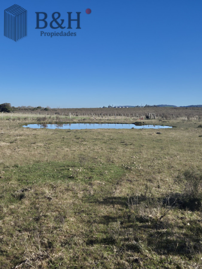 Campo Ref.6494 - Campo en San Carlos, 