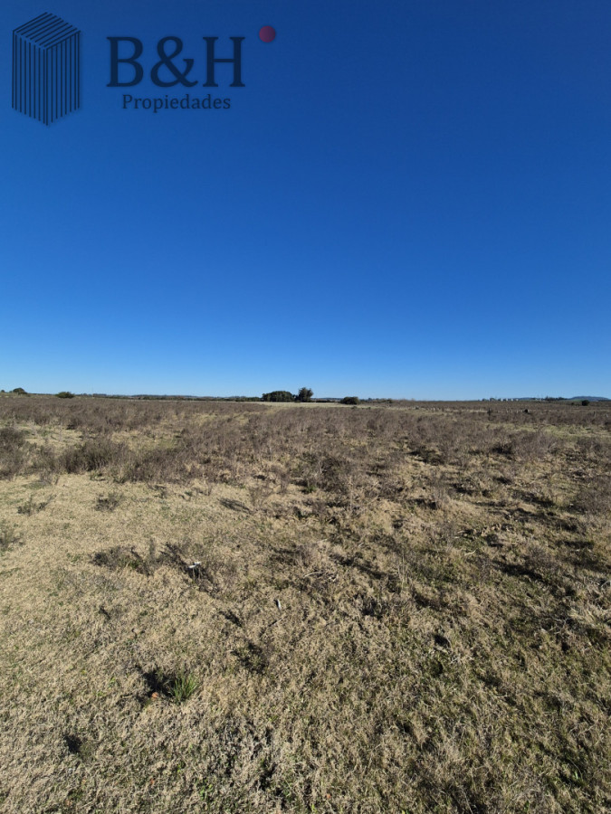 Campo Ref.6494 - Campo en San Carlos, 